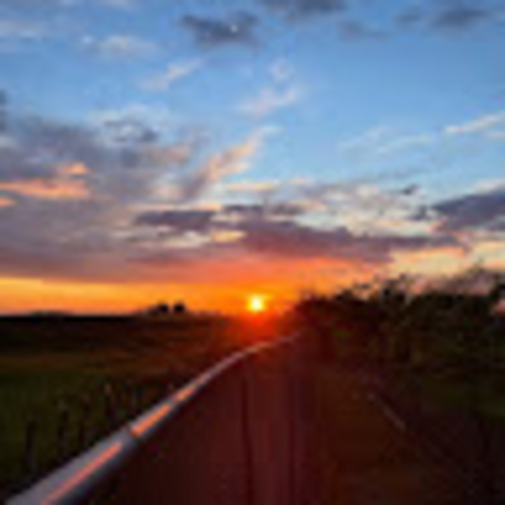 Meet your Posher, Autumn